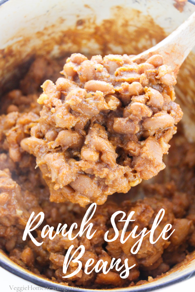 Ranch Style Baked Beans are a savory dish. Enjoy as a smokey side dish or a stand alone savory meal. 