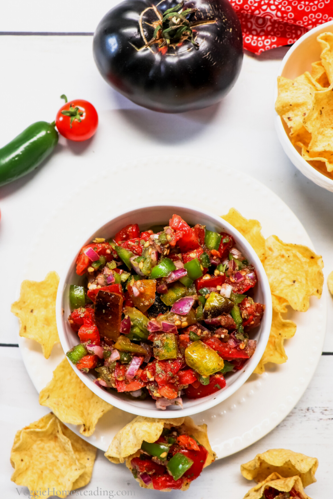 Easy Garden Fresh Salsa. The most delicious salsa in the world!