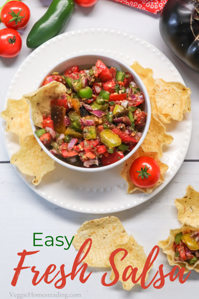 Easy Garden Fresh Salsa. The most delicious salsa in the world! 