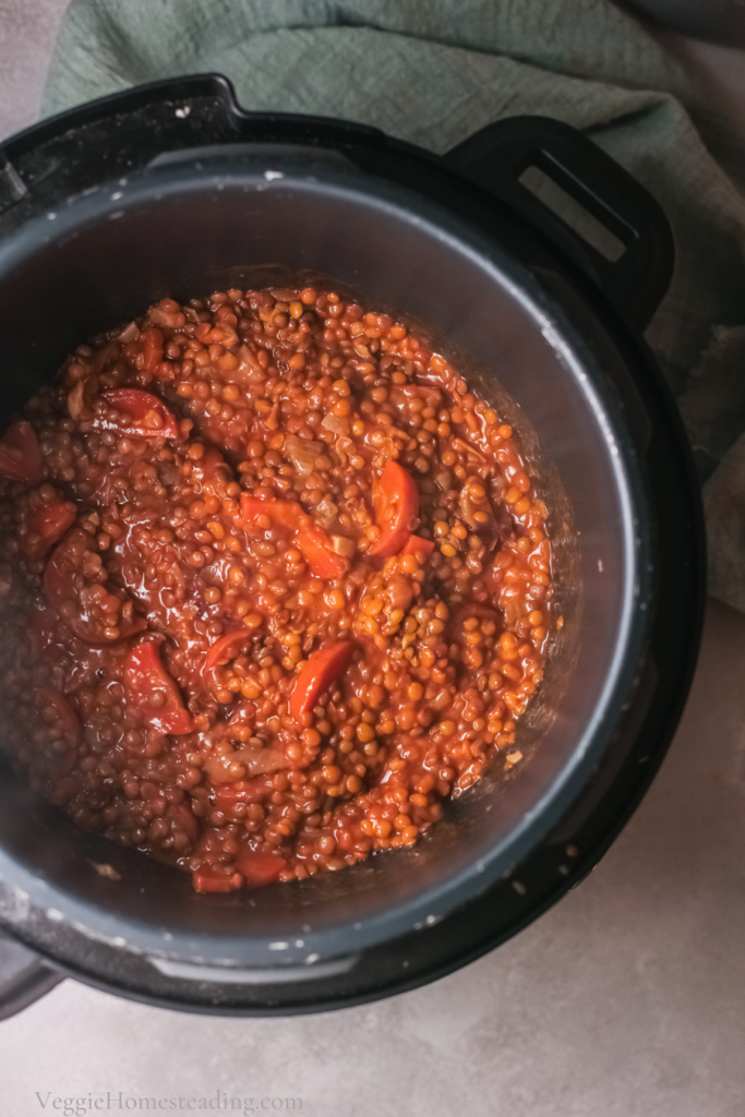 Hearty Lentil Stew