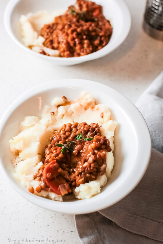 Hearty Vegetarian Lentil Stew