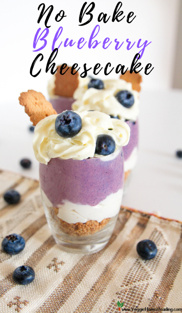 No Bake Blueberry Cheesecake