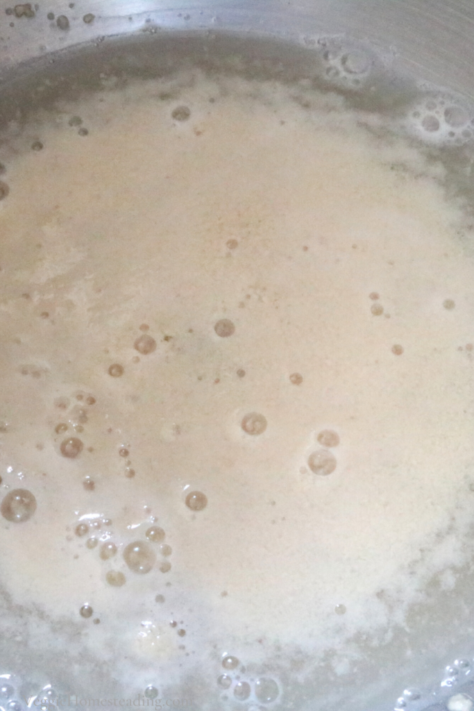 Yeast Mixture For Parmesan Poppers