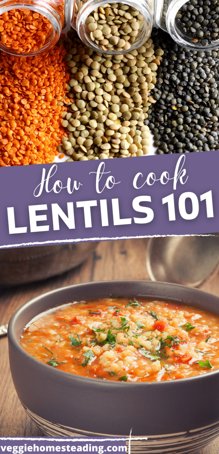 How to Cook with Lentils 101 Veggie Homesteading