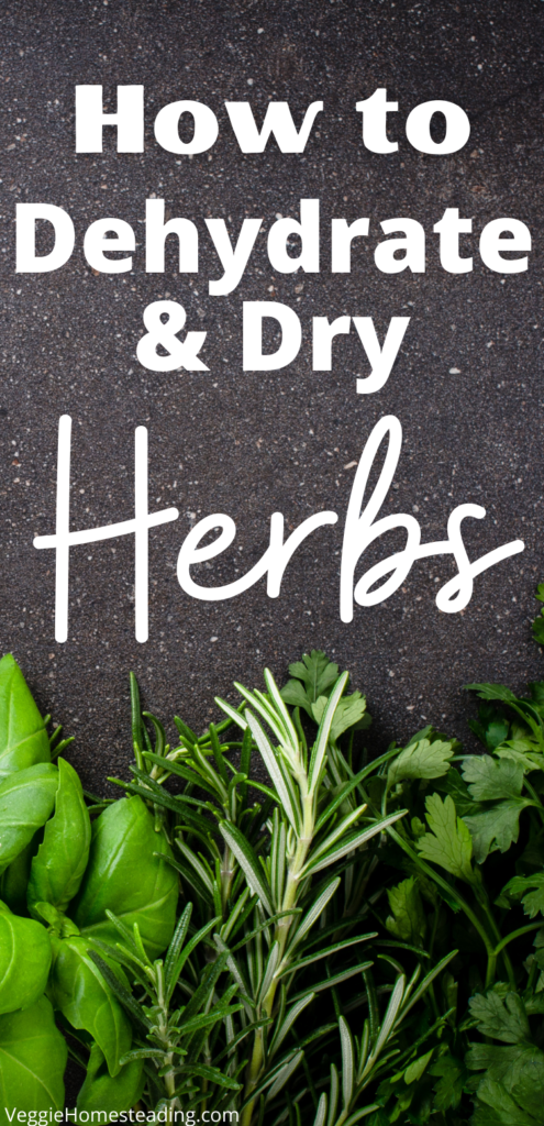 Drying herbs is fun, easy and simple to do! Whether you are trying to prolong the life of your prized homegrown herbs or you want to make a seasoning blend from scratch, dehydrating herbs is the way to go.