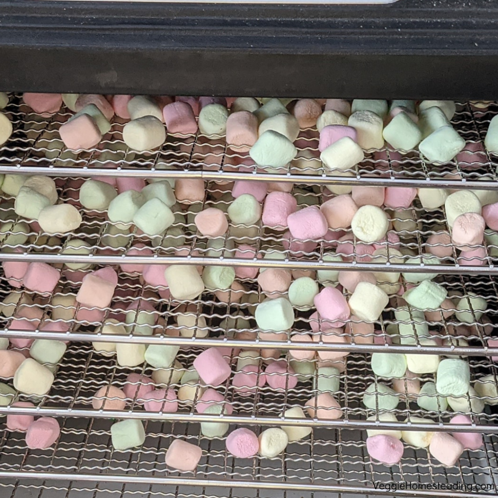 Dehydrating Marshmallows and Make Marshmallow Powder - Food