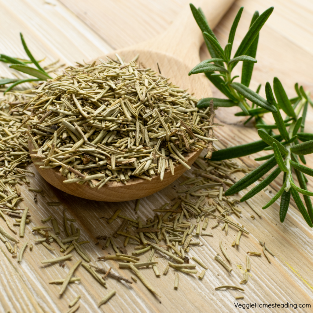 How to Dry Rosemary, Step by Step