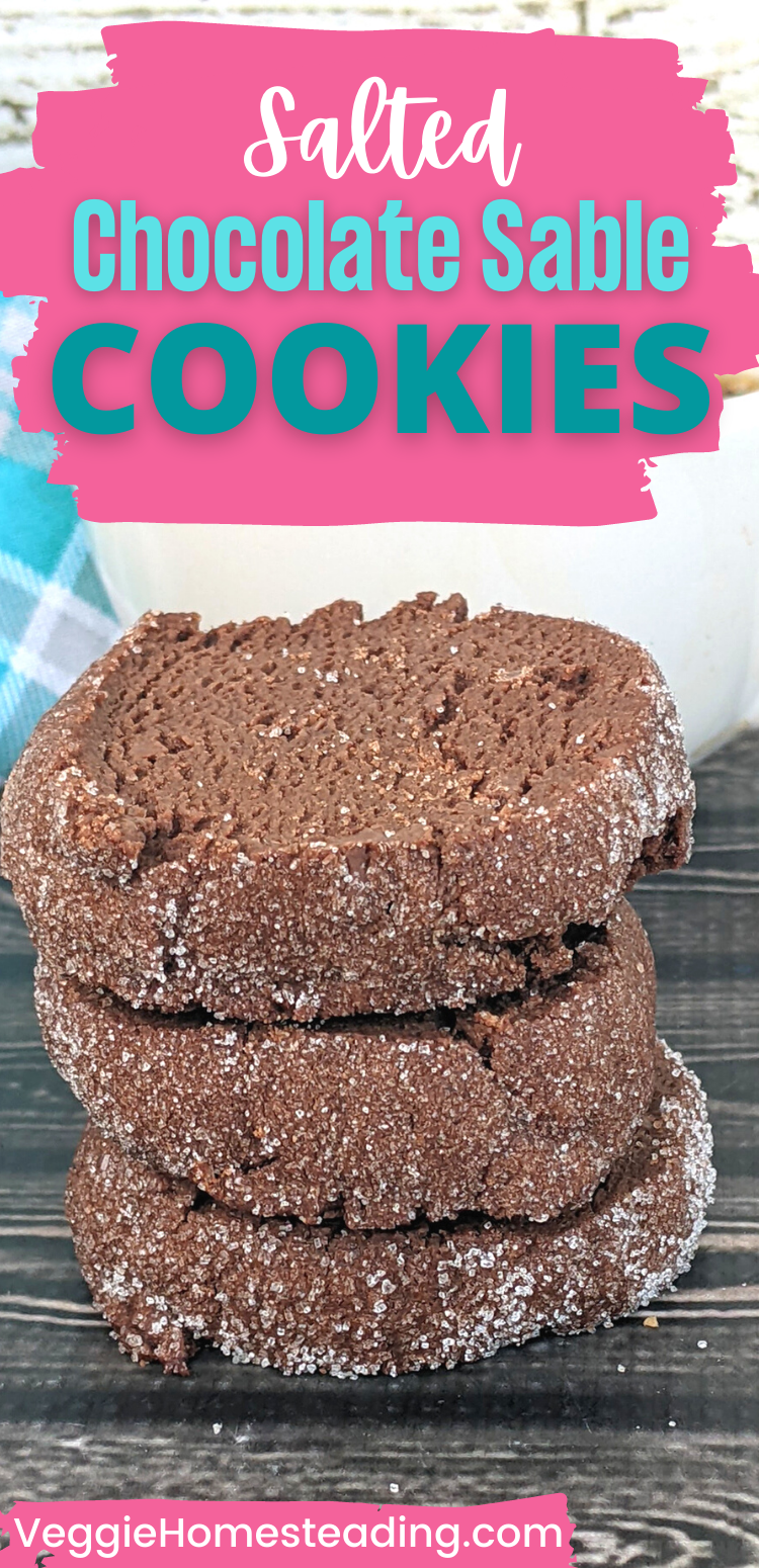 Salted Chocolate Sables are a tasty and satisfying twist on the classic chocolate cookie, combining the rich flavor of cocoa powder and milk chocolate with the savory taste of sea salt.