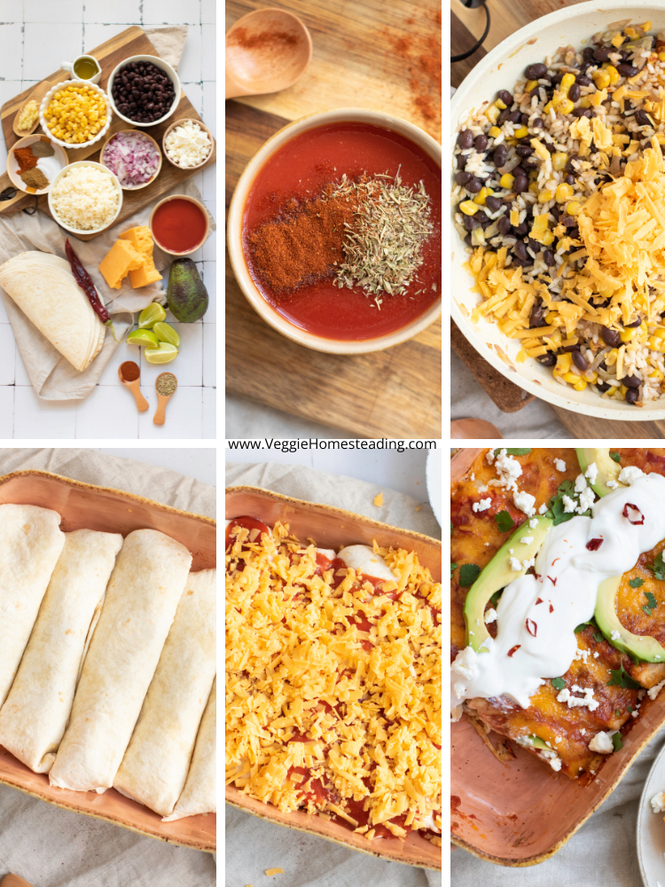Plated enchiladas with black beans, rice, and colorful garnishes for a healthy vegetarian dinner.