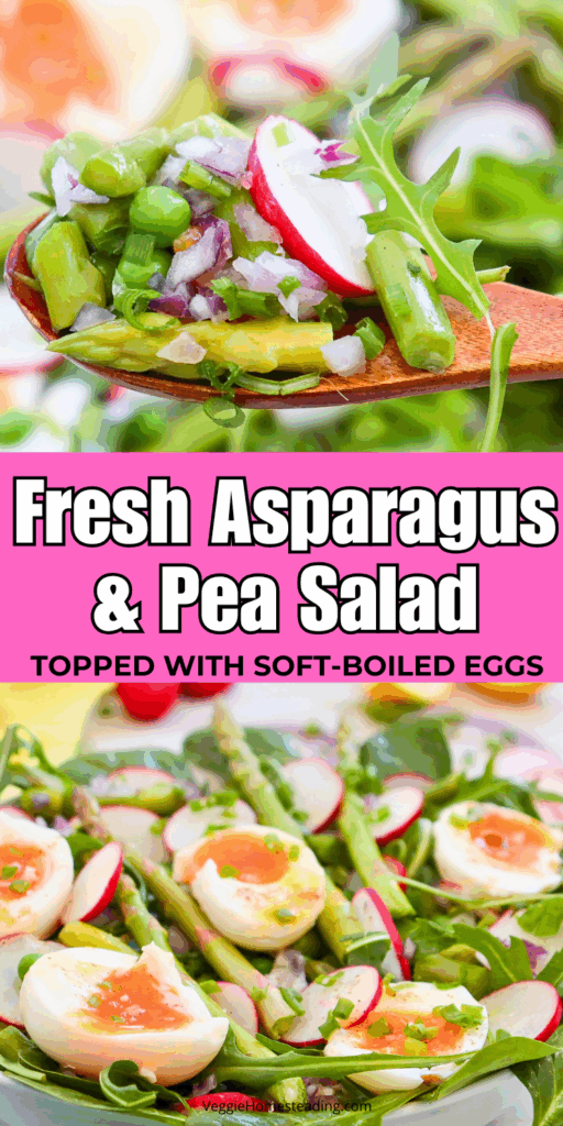 Close-up of vibrant spring salad with asparagus, peas, radishes, and creamy soft-boiled eggs.