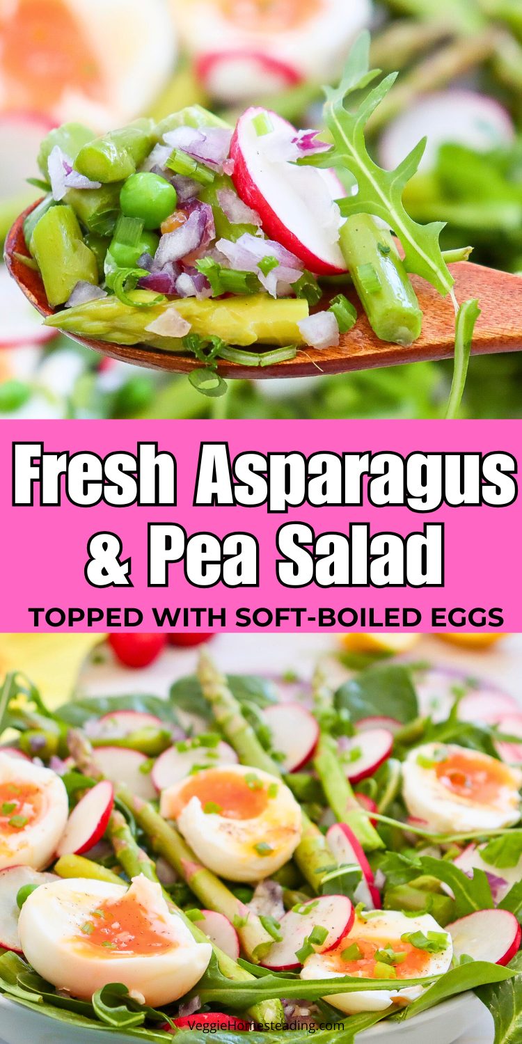 Close-up of vibrant spring salad with asparagus, peas, radishes, and creamy soft-boiled eggs.
