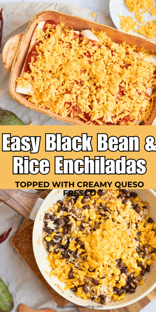 Cheesy enchiladas in a baking dish with rich sauce and golden brown edges.