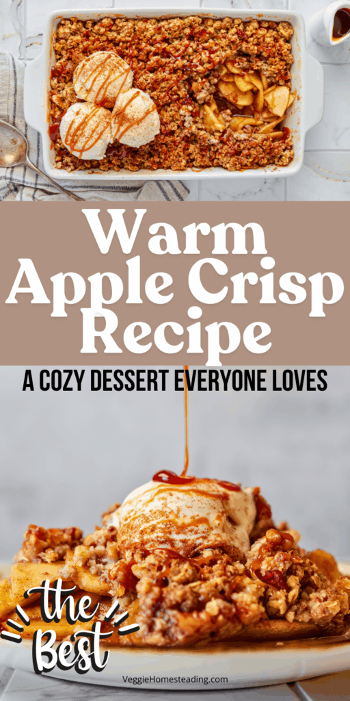 Close-up of apple crisp dessert served in a bowl with melting vanilla ice cream.