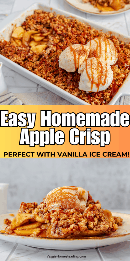 Freshly baked apple crisp in a white baking dish with golden oat topping.