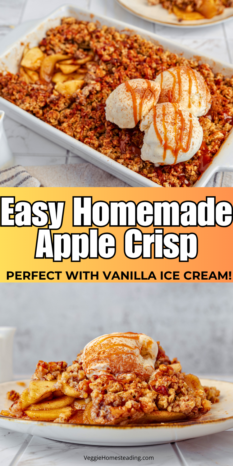 Freshly baked apple crisp in a white baking dish with golden oat topping.