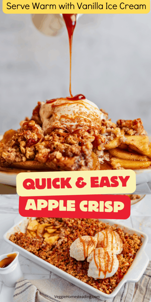 Warm apple crisp topped with a scoop of vanilla ice cream and caramel drizzle.