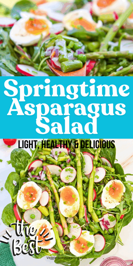 Healthy vegetarian asparagus and pea salad with Dijon dressing and soft-boiled eggs, ready to serve.