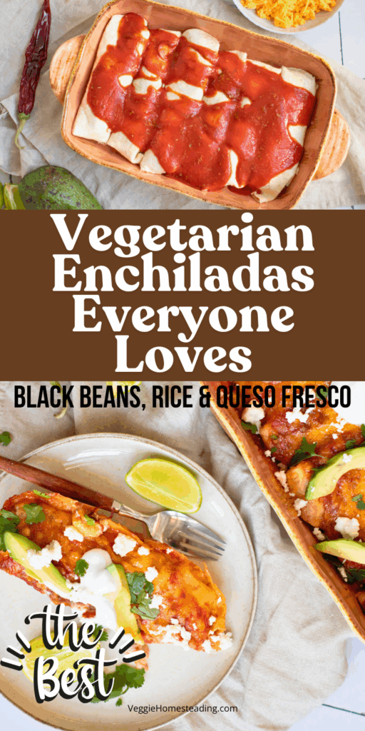 Baked black bean and rice enchiladas topped with melted cheese and fresh cilantro.