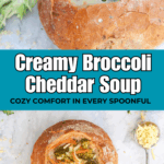 Easy broccoli cheddar soup made with fresh broccoli, potatoes, and carrots in a rich cheesy broth, ready in 35 minutes.